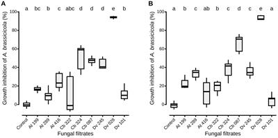 Plant defense compounds can enhance antagonistic effects against Alternaria brassicicola of seed-associated fungi isolated from wild Brassicaceae